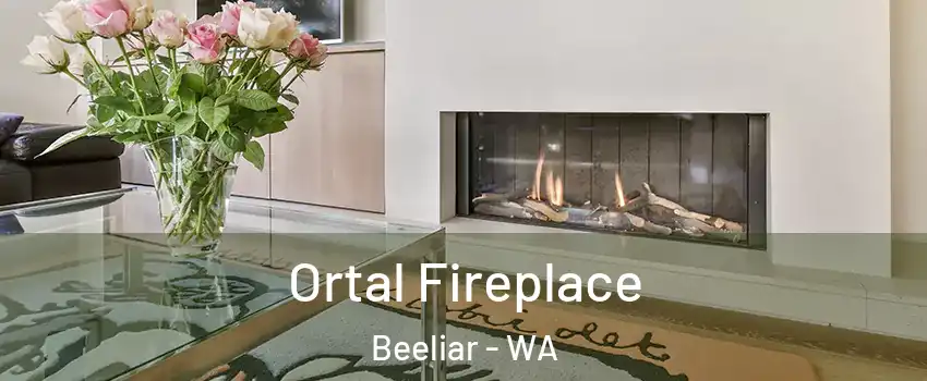 Ortal Fireplace Beeliar - WA