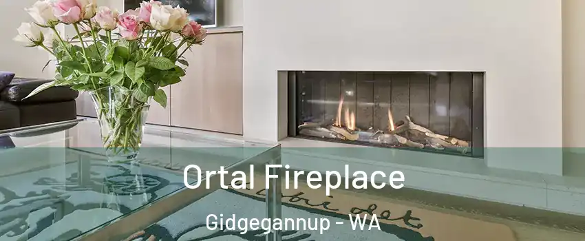 Ortal Fireplace Gidgegannup - WA