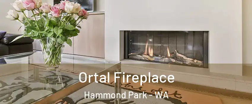 Ortal Fireplace Hammond Park - WA