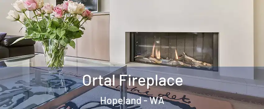 Ortal Fireplace Hopeland - WA