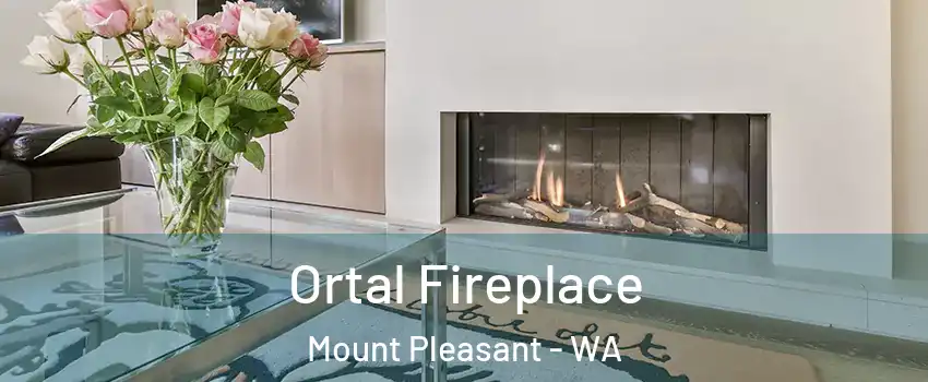Ortal Fireplace Mount Pleasant - WA