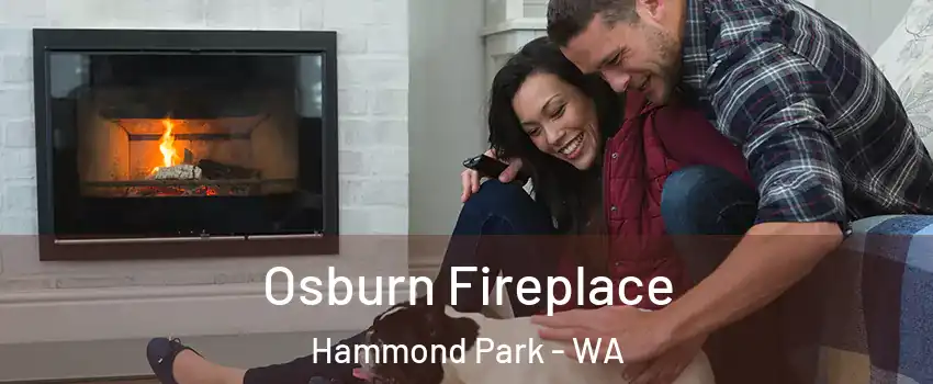 Osburn Fireplace Hammond Park - WA