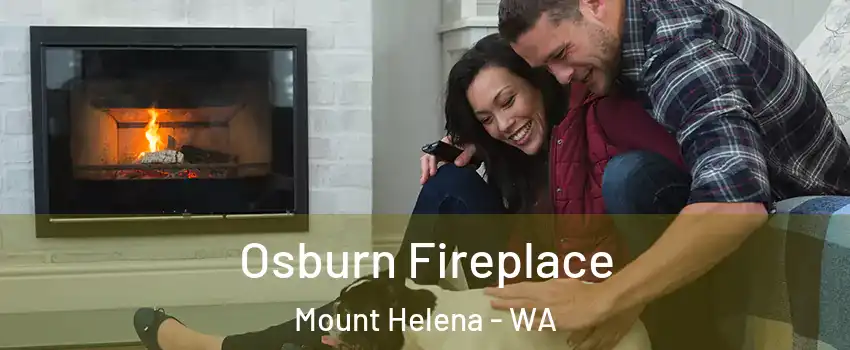 Osburn Fireplace Mount Helena - WA