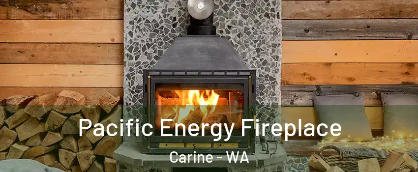 Pacific Energy Fireplace Carine - WA