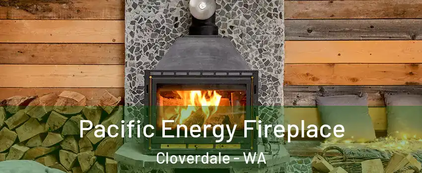 Pacific Energy Fireplace Cloverdale - WA