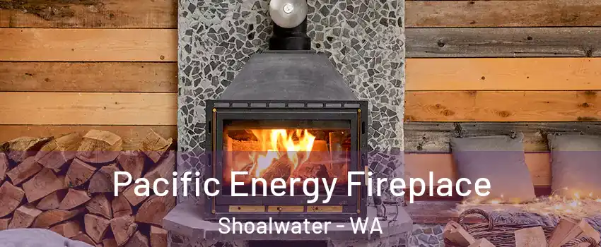 Pacific Energy Fireplace Shoalwater - WA