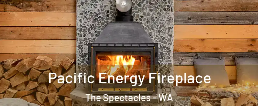  Pacific Energy Fireplace The Spectacles - WA