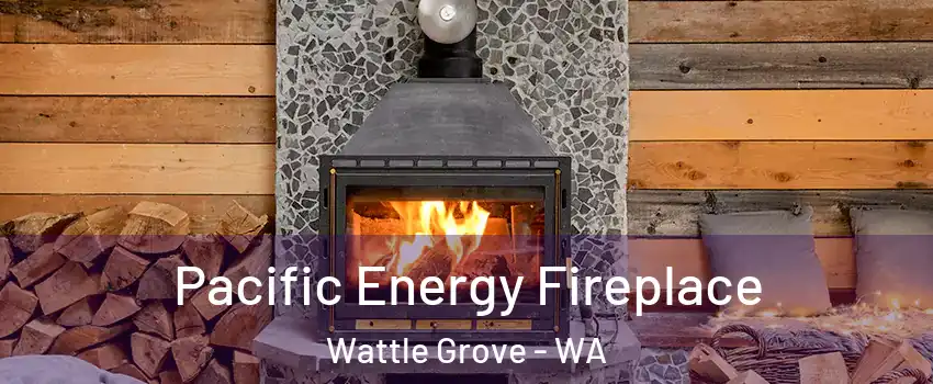 Pacific Energy Fireplace Wattle Grove - WA