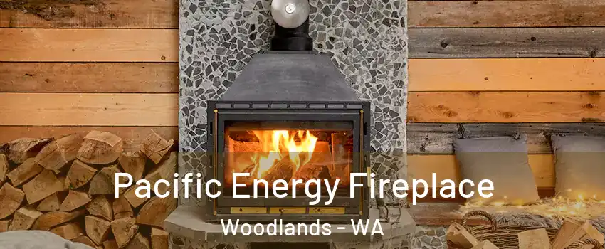 Pacific Energy Fireplace Woodlands - WA