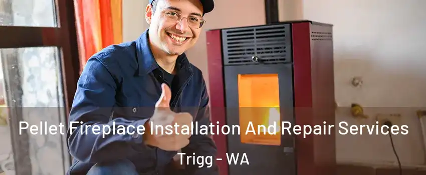 Pellet Fireplace Installation And Repair Services Trigg - WA