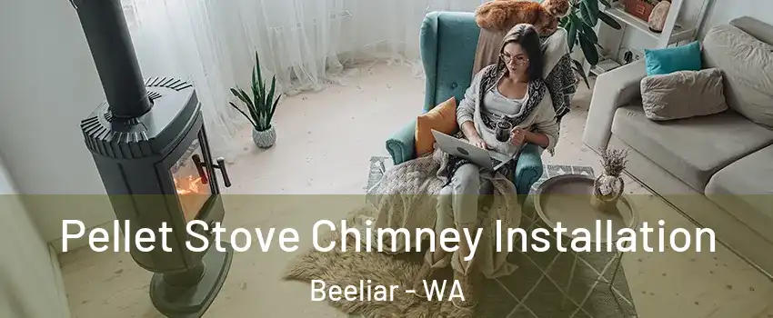 Pellet Stove Chimney Installation Beeliar - WA