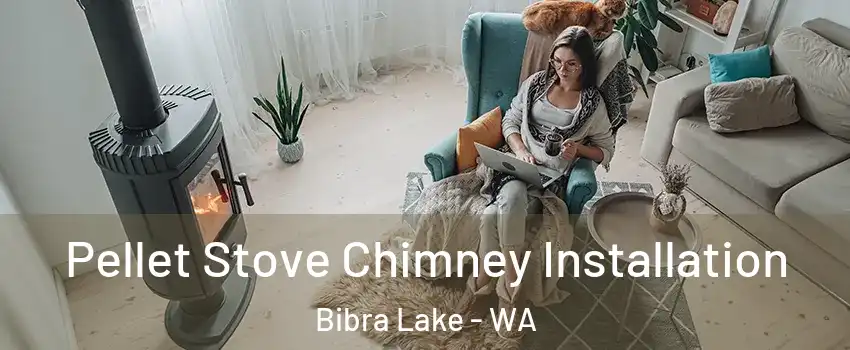 Pellet Stove Chimney Installation Bibra Lake - WA