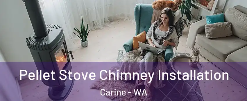 Pellet Stove Chimney Installation Carine - WA