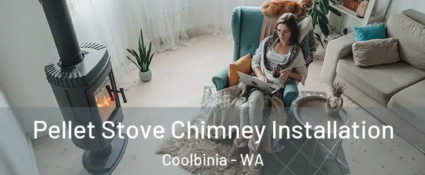 Pellet Stove Chimney Installation Coolbinia - WA