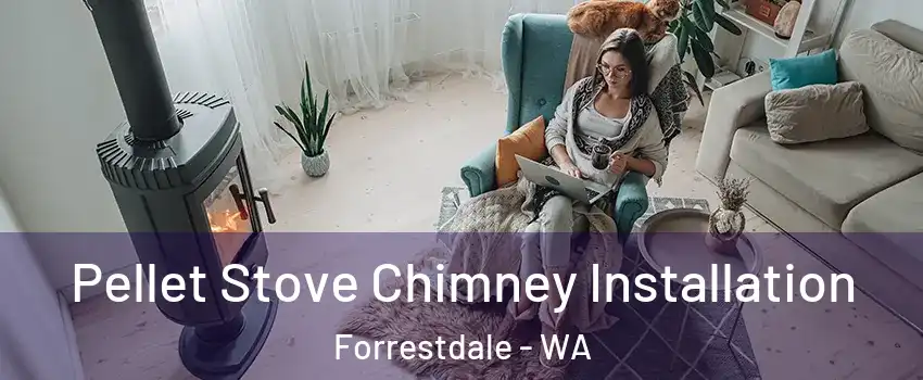 Pellet Stove Chimney Installation Forrestdale - WA