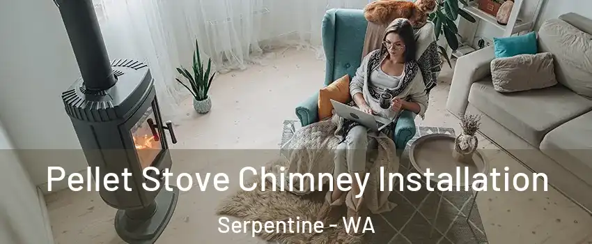 Pellet Stove Chimney Installation Serpentine - WA