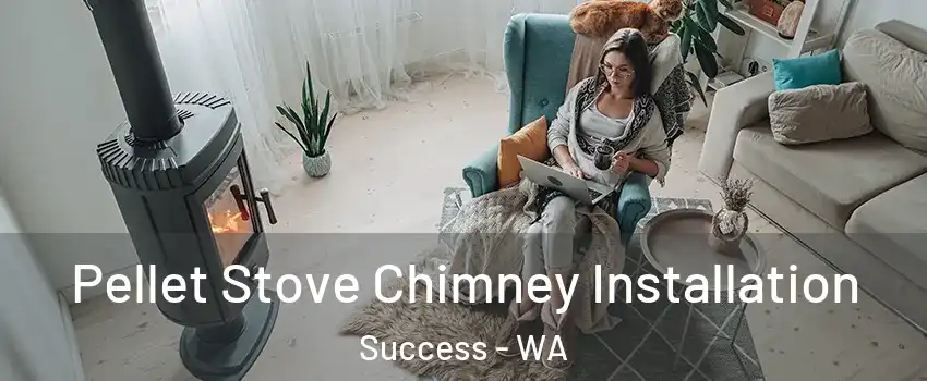 Pellet Stove Chimney Installation Success - WA