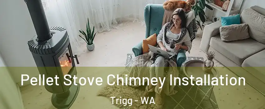 Pellet Stove Chimney Installation Trigg - WA
