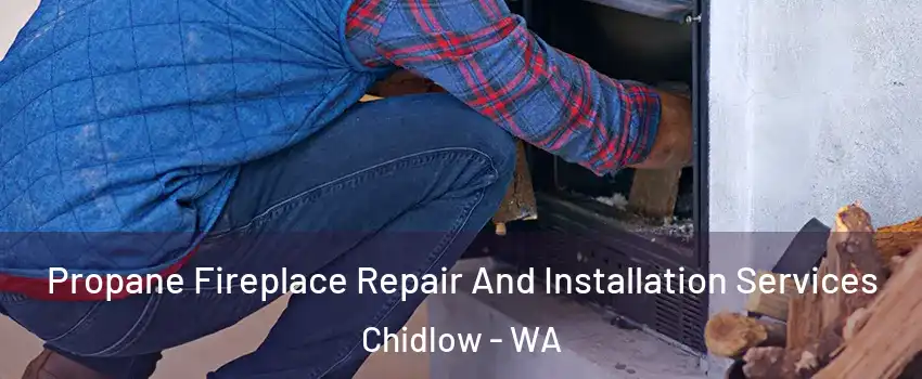 Propane Fireplace Repair And Installation Services Chidlow - WA