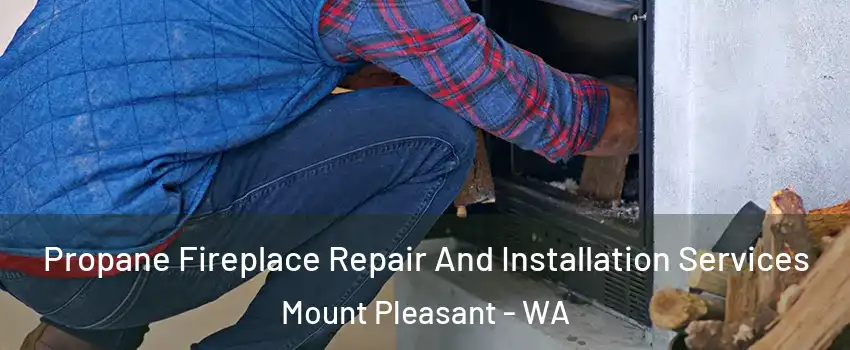 Propane Fireplace Repair And Installation Services Mount Pleasant - WA