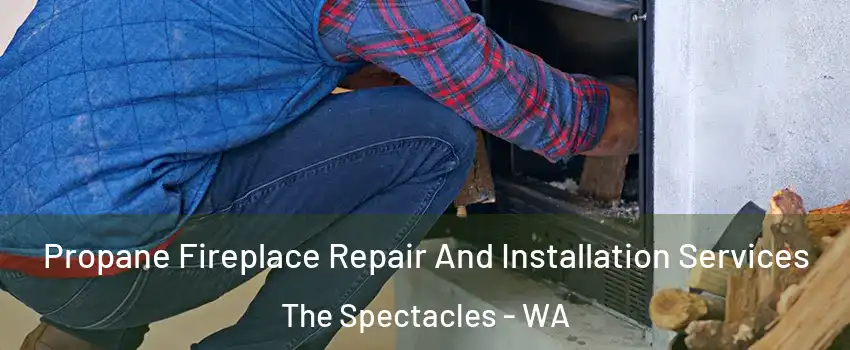 Propane Fireplace Repair And Installation Services The Spectacles - WA