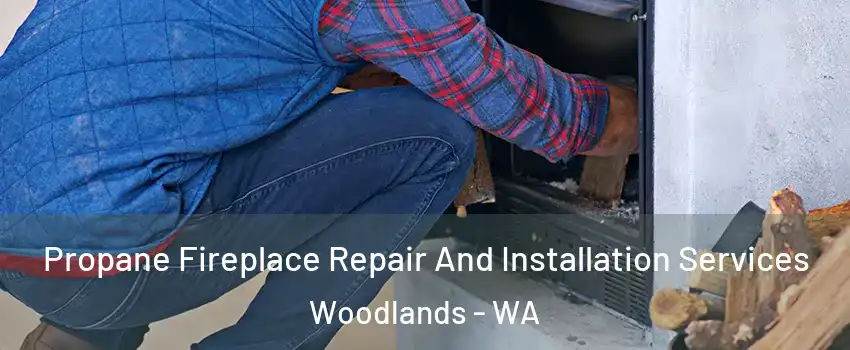 Propane Fireplace Repair And Installation Services Woodlands - WA