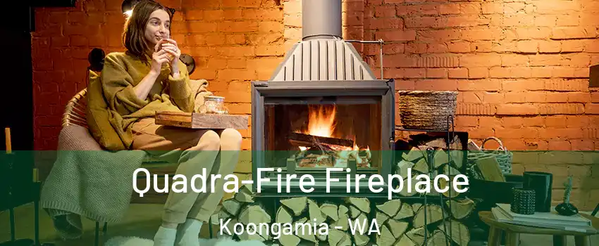 Quadra-Fire Fireplace Koongamia - WA