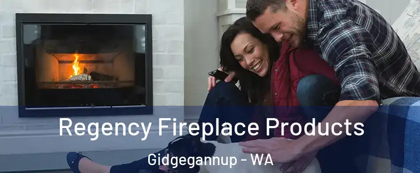 Regency Fireplace Products Gidgegannup - WA