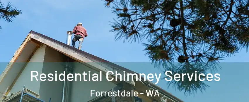 Residential Chimney Services Forrestdale - WA