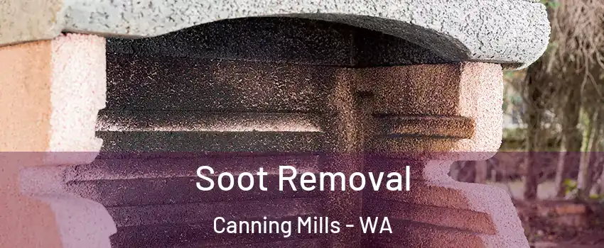 Soot Removal Canning Mills - WA