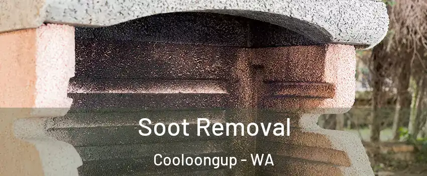 Soot Removal Cooloongup - WA