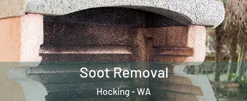 Soot Removal Hocking - WA