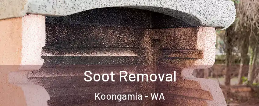 Soot Removal Koongamia - WA