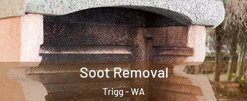 Soot Removal Trigg - WA