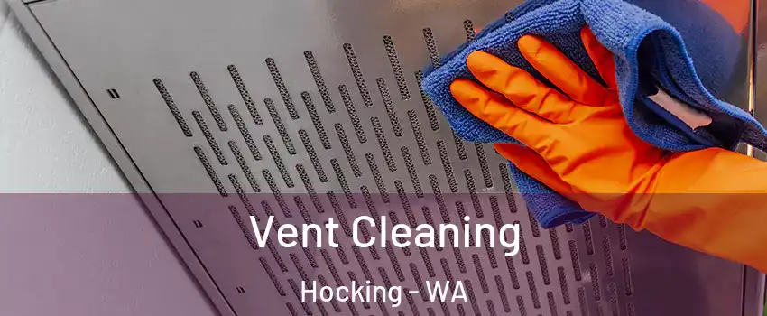 Vent Cleaning Hocking - WA
