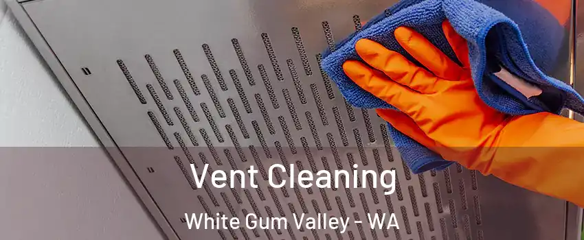 Vent Cleaning White Gum Valley - WA
