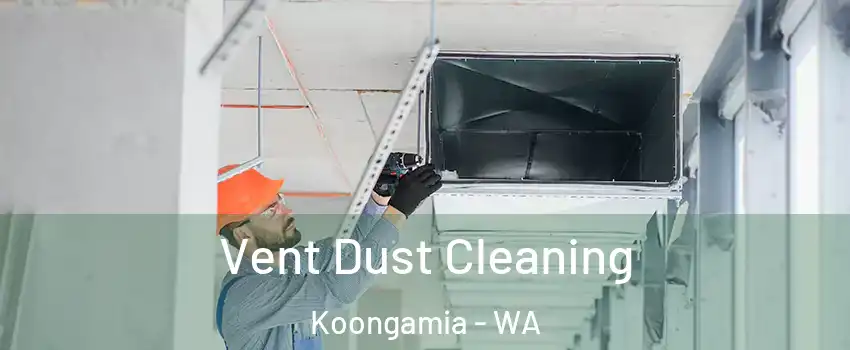 Vent Dust Cleaning Koongamia - WA