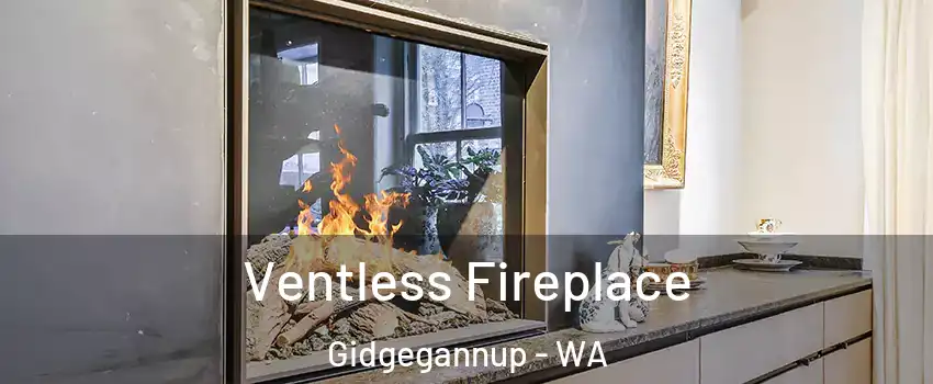 Ventless Fireplace Gidgegannup - WA