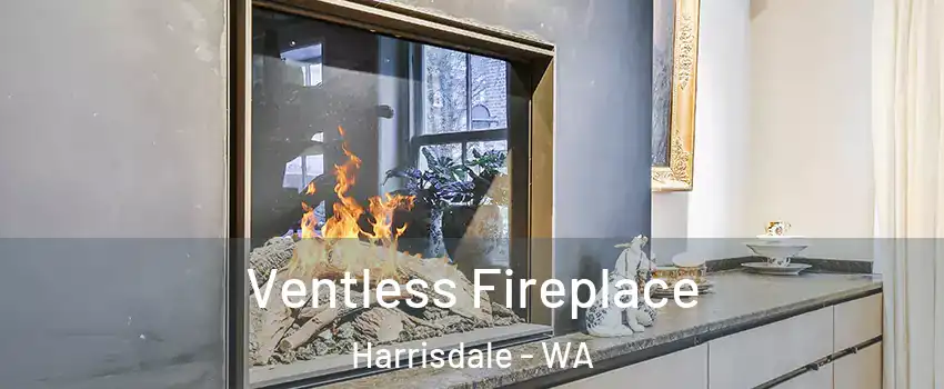 Ventless Fireplace Harrisdale - WA