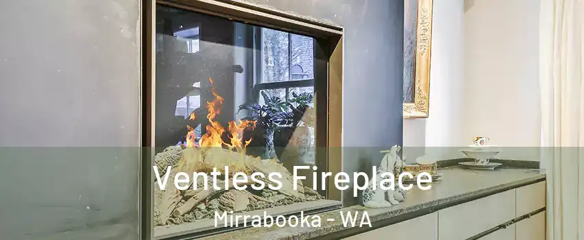 Ventless Fireplace Mirrabooka - WA