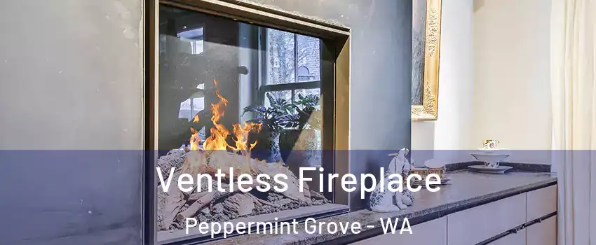 Ventless Fireplace Peppermint Grove - WA