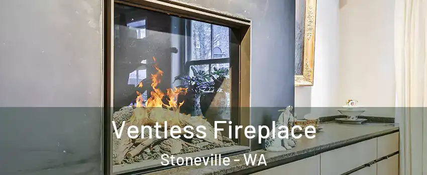 Ventless Fireplace Stoneville - WA
