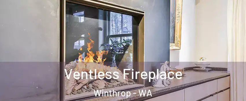 Ventless Fireplace Winthrop - WA