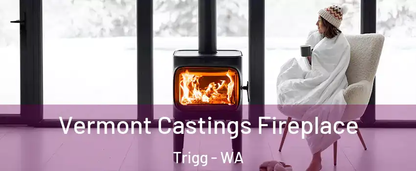 Vermont Castings Fireplace Trigg - WA