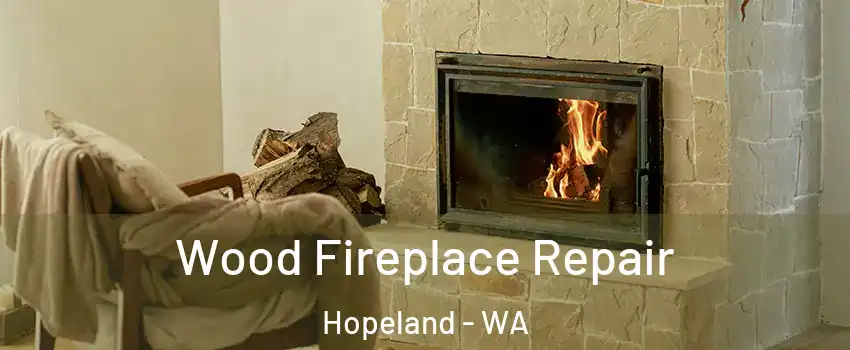 Wood Fireplace Repair Hopeland - WA