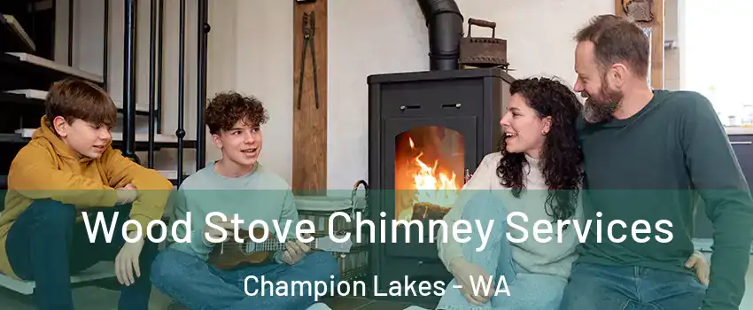 Wood Stove Chimney Services Champion Lakes - WA