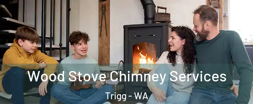 Wood Stove Chimney Services Trigg - WA