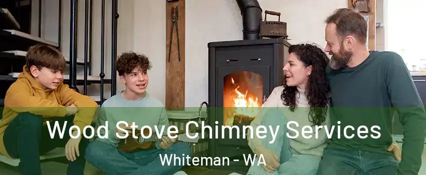Wood Stove Chimney Services Whiteman - WA