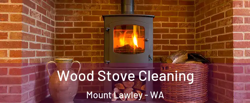 Wood Stove Cleaning Mount Lawley - WA