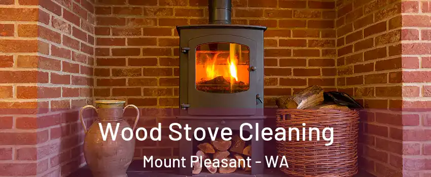Wood Stove Cleaning Mount Pleasant - WA